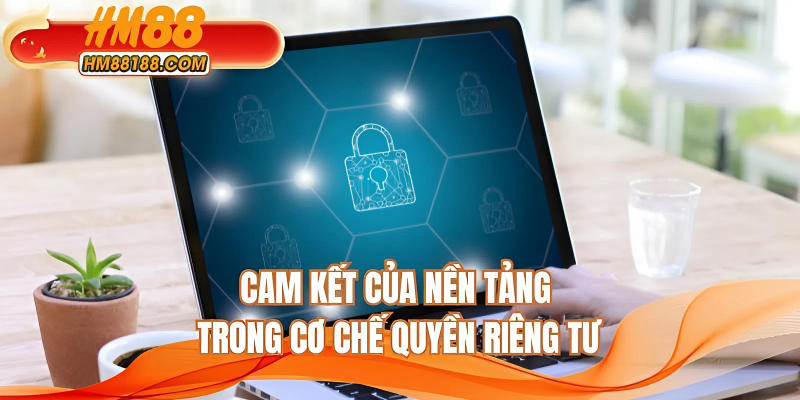 Cam kết của nền tảng trong cơ chế quyền riêng tư